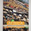 Africa: Diversity And Development – Tony Binns Et Al secondhand book