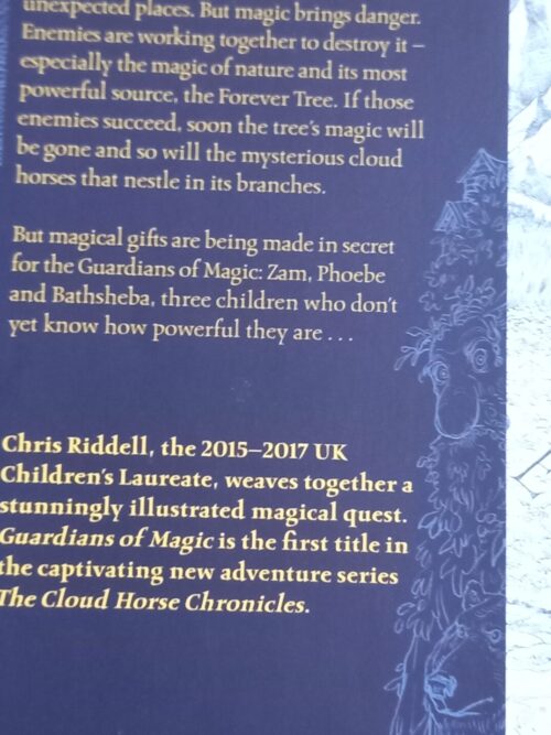 Guardians Of Magic – Chris Riddell secondhand book