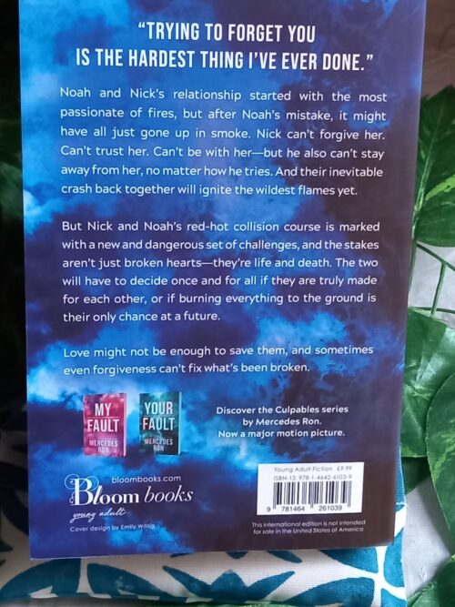 Our Fault Deluxe Edition – Mercedes Ron secondhand book