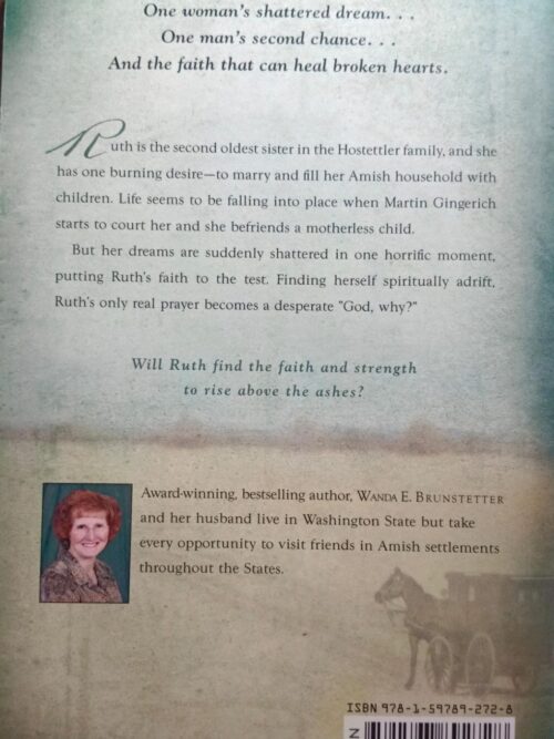 A Sister’s Test – Wanda E Brunstetter secondhand book