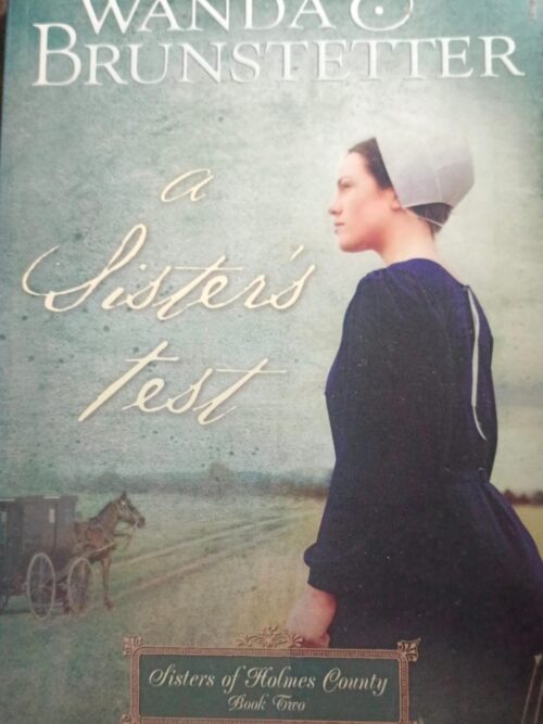 A Sister's Test - Wanda E Brunsetter A Sister’s Test – Wanda E Brunstetter secondhand book