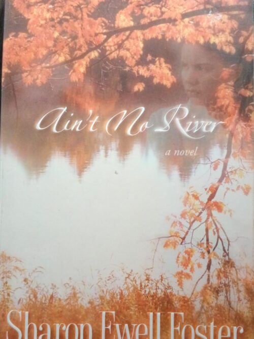 Aint No River - Sharon Ewell Foster Ain’t No River – Sharon Ewell Foster secondhand book