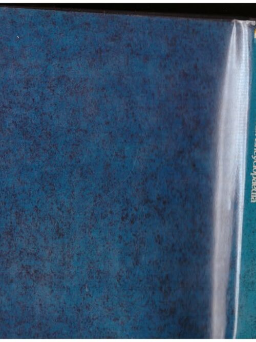 The Concise South African Encyclopaedia – Peter Schirmer secondhand book