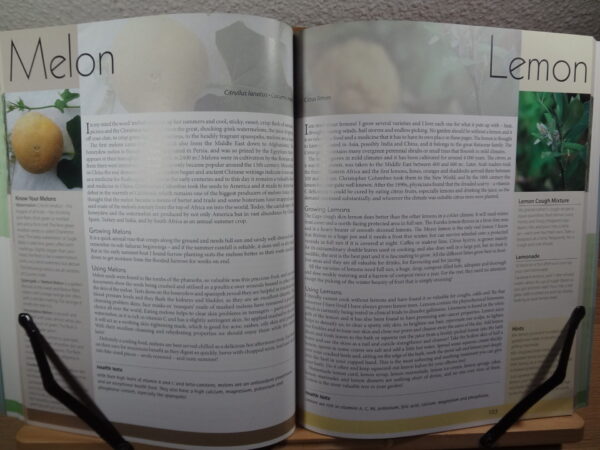 DSC03827 Healing Foods – Margaret Roberts secondhand book