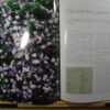 Easy Gardening: A Practical And Inspirational Guide – Nancy Gardiner secondhand book