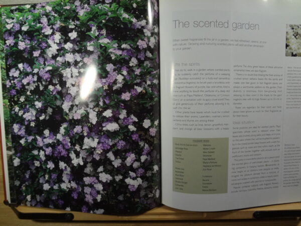 Easy Gardening: A Practical And Inspirational Guide – Nancy Gardiner secondhand book