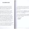 Die Man — Pienkes Du Plessis secondhand book