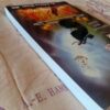 He Came To Set The Captives Free - Rebecca Brown (3) He Came To Set The Captives Free – Rebecca Brown secondhand book