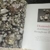 Diamonds: The Quest From Solid Rocks To The Magic Of Diamonds – Christine Gordon secondhand book