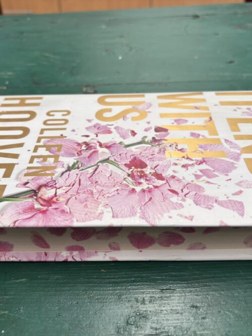 It Ends With Us – Colleen Hoover secondhand book