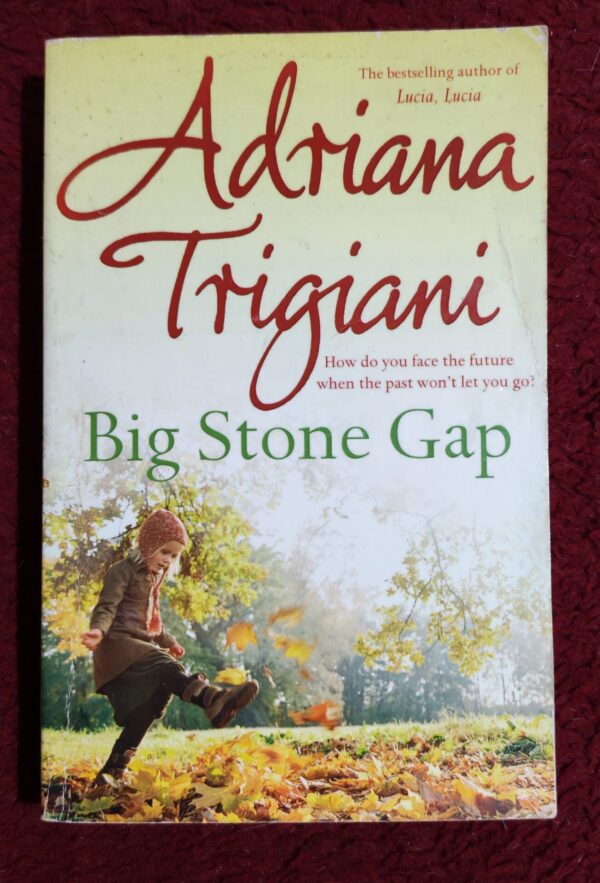 Big Stone Gap – Adriana Trigiani secondhand book