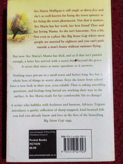 Big Stone Gap – Adriana Trigiani secondhand book