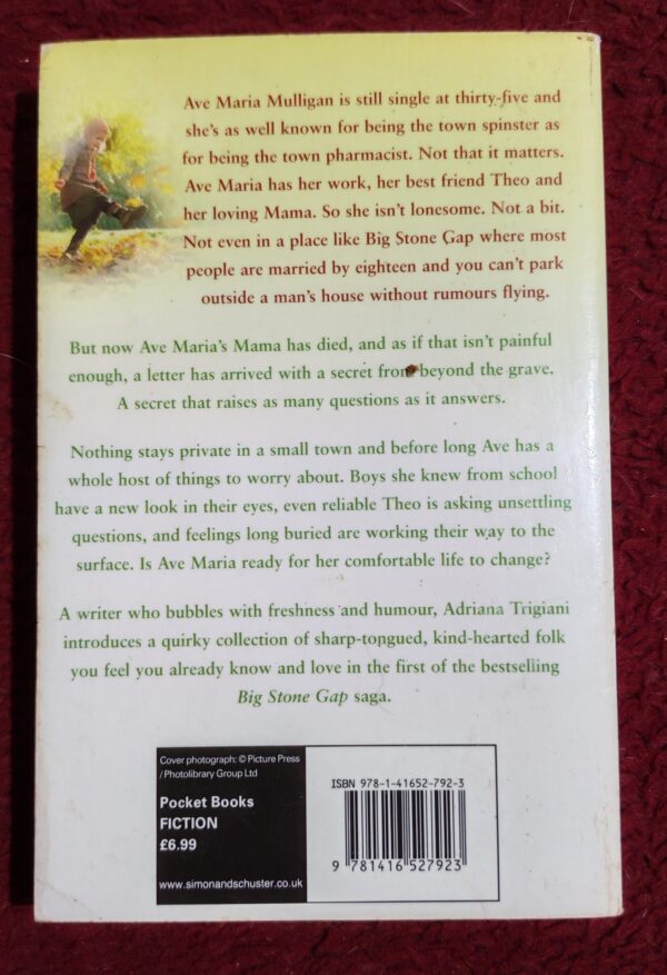 Big Stone Gap – Adriana Trigiani secondhand book