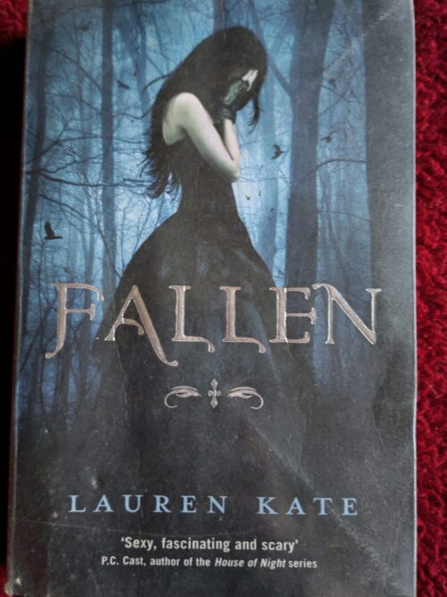 Fallen – Lauren Kate secondhand book