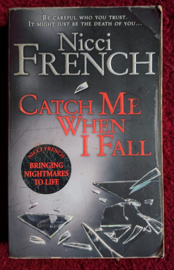 Catch Me When I Fall – Nicci French secondhand book