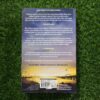 Simply Lies – David Baldacci secondhand book