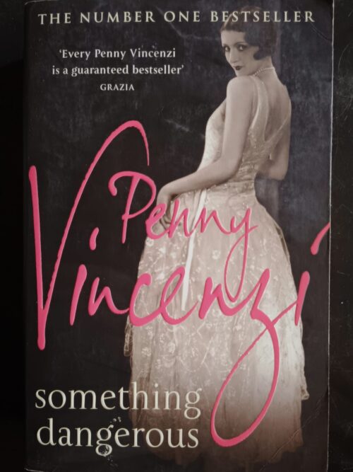 Something Dangerous – Penny Vincenzi secondhand book