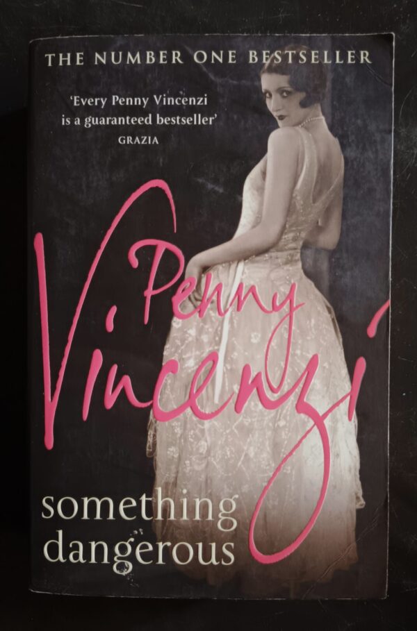 IMG_20260928_154006_832 Something Dangerous – Penny Vincenzi secondhand book