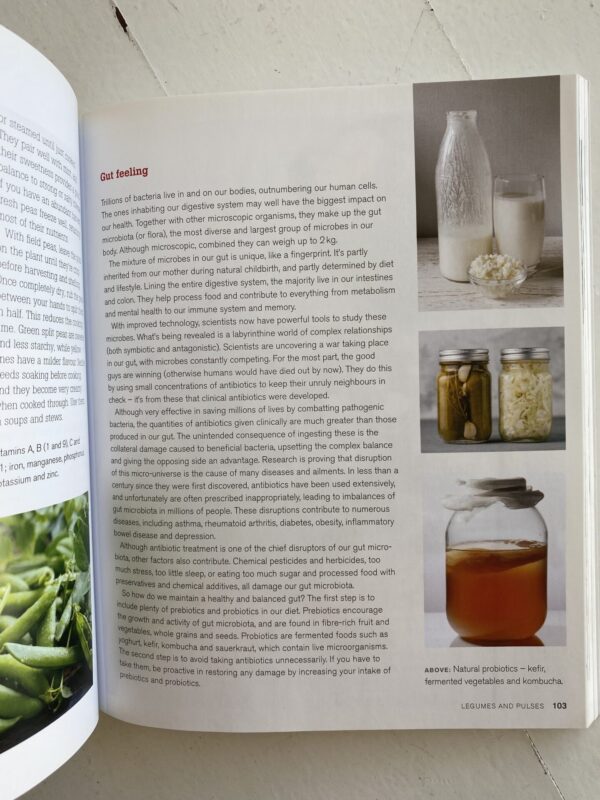 Jane’s Delicious Superfoods For Super Health – Jane Griffiths secondhand book