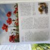 Jane’s Delicious Superfoods For Super Health – Jane Griffiths secondhand book
