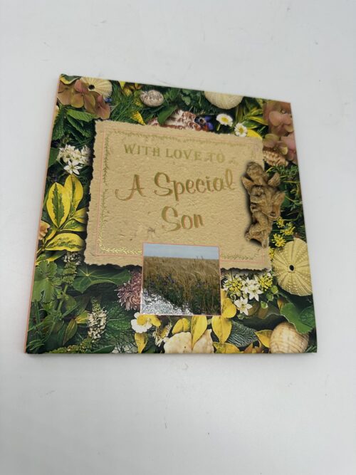 With Love To A Special Son secondhand book