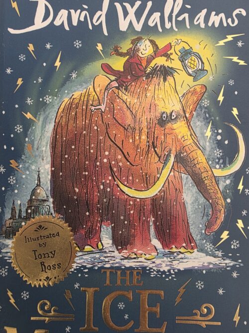 The Ice Monster – David Walliams secondhand book