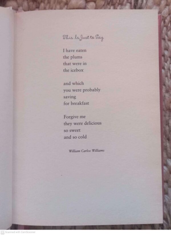 Life On The Refrigerator Door — Alice Kuipers secondhand book