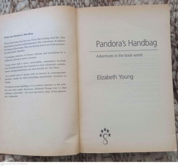 Pandora’s Handbag: Adventures In The Book World — Elizabeth Young secondhand book