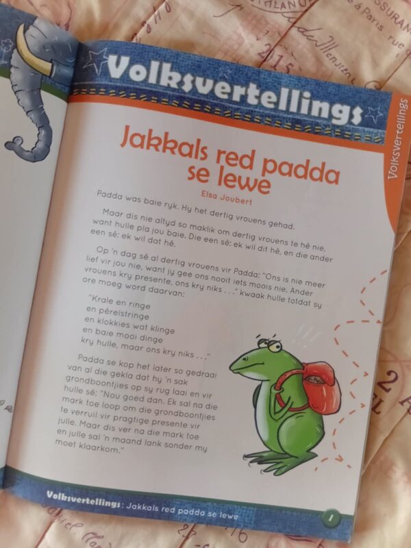 Piekfyn Afrikaans Graad 4 Huistaal Leesboek – Riens Vosloo, Fanie Viljoen secondhand book