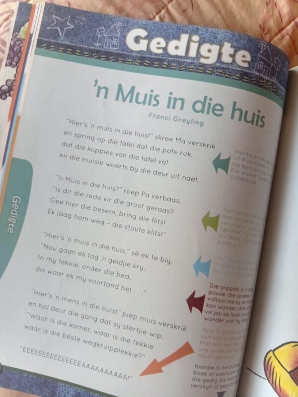Piekfyn Afrikaans Graad 4 Huistaal Leesboek – Riens Vosloo, Fanie Viljoen secondhand book