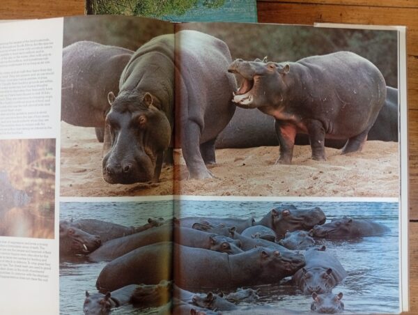 South African Animals In The Wild – Anthony Bannister secondhand book