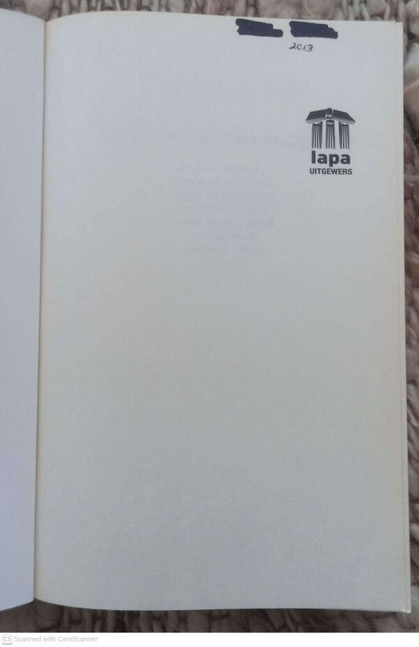Sjokoladesoene — Kristel Loots secondhand book