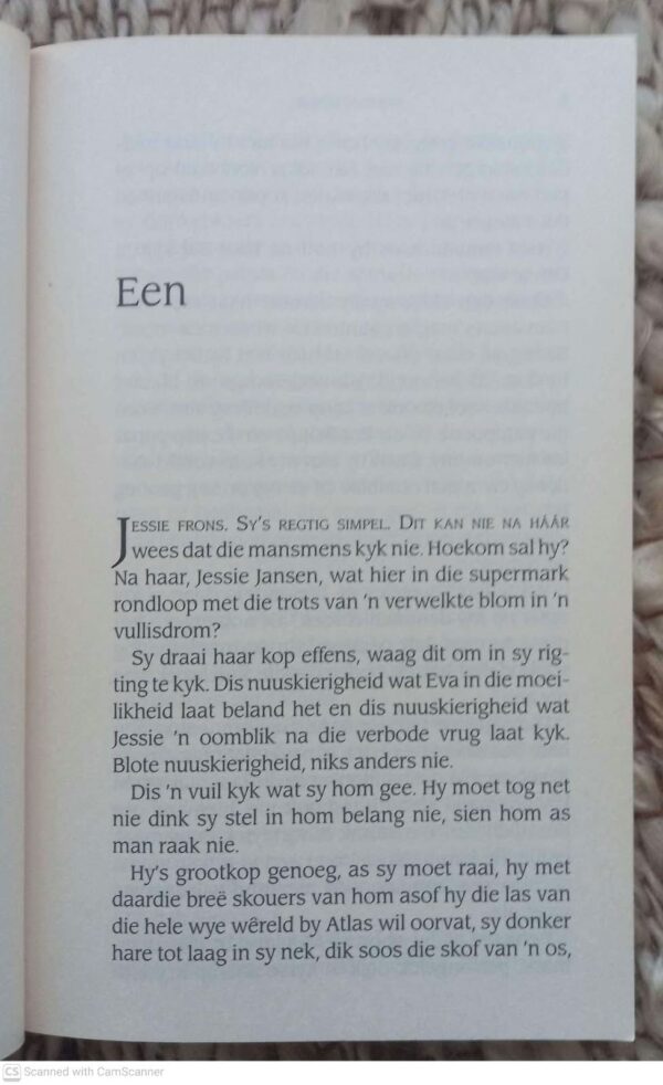Sjokoladesoene — Kristel Loots secondhand book