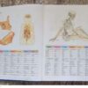South African Multi-Language Dictionary And Phrase Book secondhand book