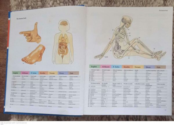 South African Multi-Language Dictionary And Phrase Book secondhand book