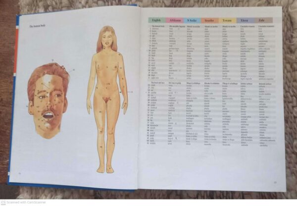 South African Multi-Language Dictionary And Phrase Book secondhand book
