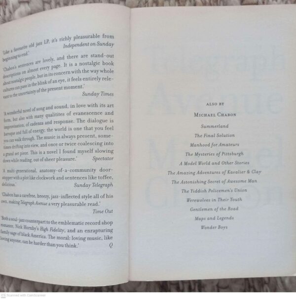 Telegraph Avenue — Michael Chabon secondhand book