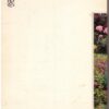 Tuingids Vir Die Hele Jaar — Koos Robbertse secondhand book