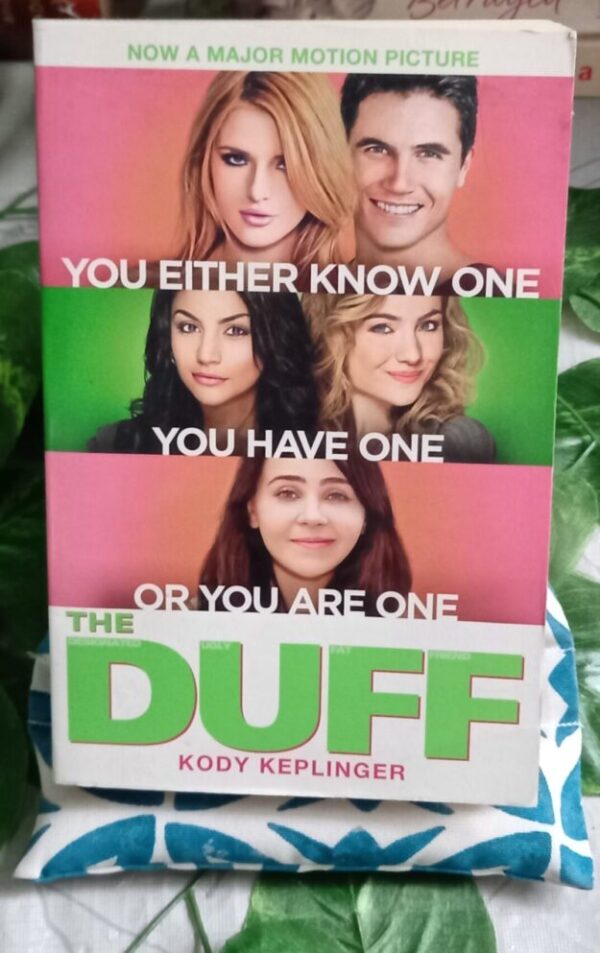 The DUFF: Designated Ugly Fat Friend – Kody Keplinger secondhand book