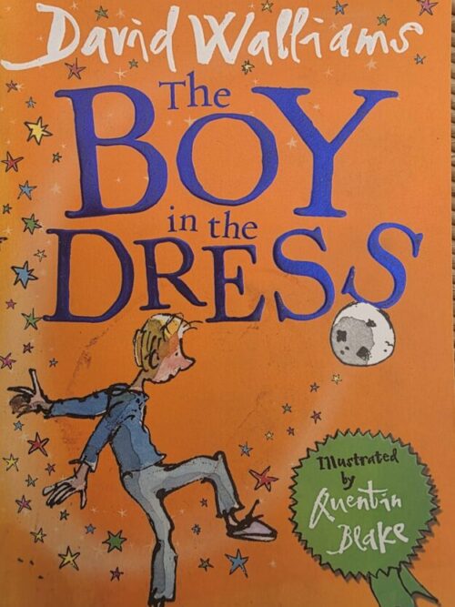 The Boy In The Dress – David Walliams secondhand book