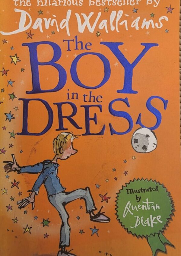 The Boy In The Dress – David Walliams secondhand book