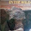 South African Animals In The Wild – Anthony Bannister secondhand book