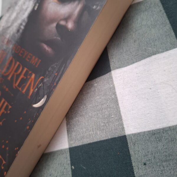 Children Of Virtue And Vengeance – Tomi Adeyemi secondhand book