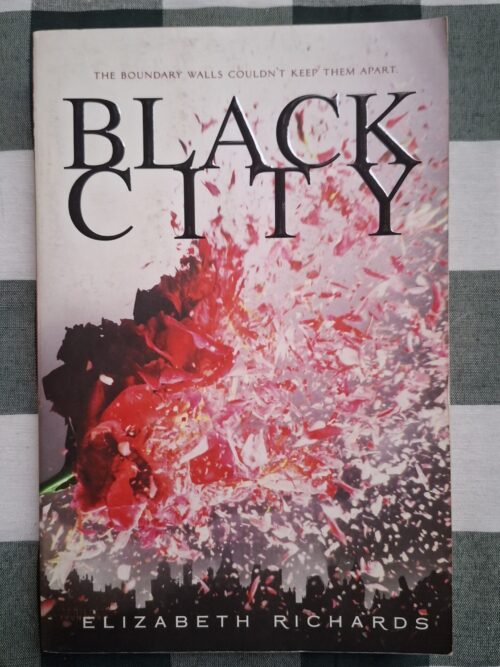 Black City – Elizabeth Richards secondhand book