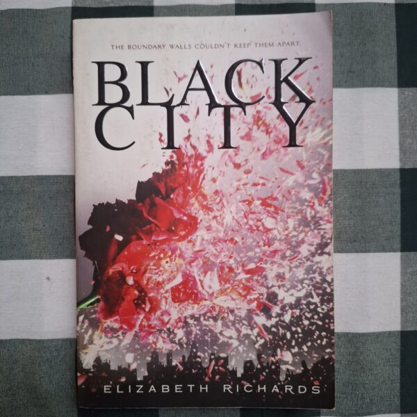 Black City – Elizabeth Richards secondhand book