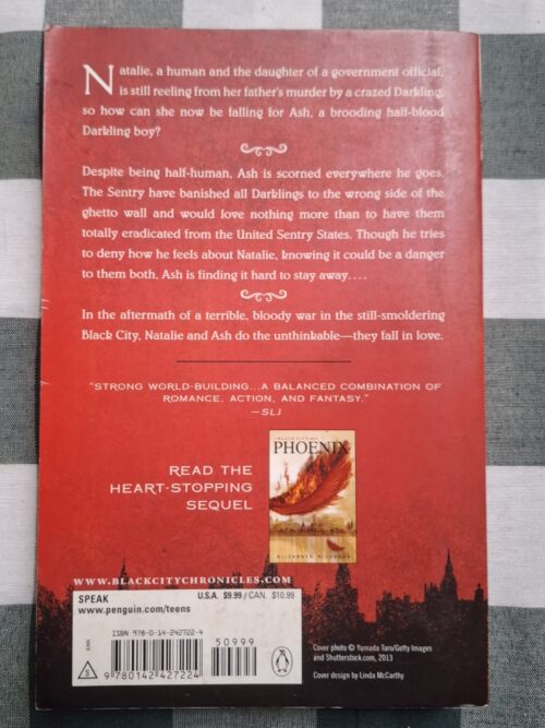 Black City – Elizabeth Richards secondhand book