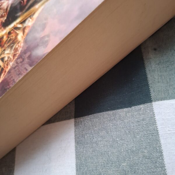 Empire In Black And Gold – Adrian Tchaikovsky secondhand book