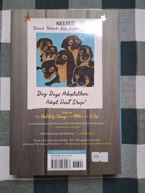 Dog Days In The City – Jodi Kendall secondhand book