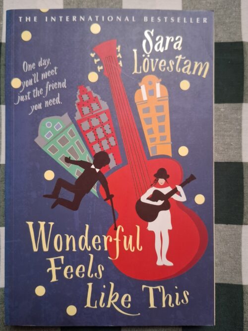 Wonderful Feels Like This – Sara Lovestam secondhand book
