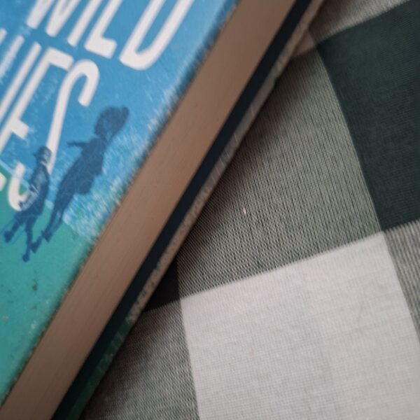 1000456096 Wild Blues – Beth Kephart secondhand book